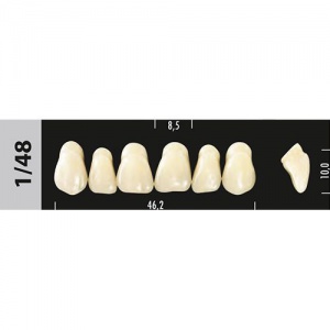 Стоматорг - Зубы Major A3  1/48 фронтальный верх,  6 шт (Super Lux).