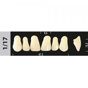 Стоматорг - Зубы Major D3  1/17 фронтальный верх, 6 шт (Super Lux)