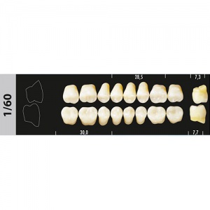 Стоматорг - Зубы Major B4 1/60 жевательный верх, 8 шт (Super Lux)