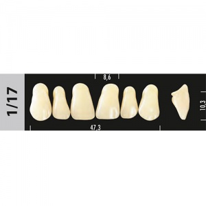 Стоматорг - Зубы Major D2  1/17 фронтальный верх, 6 шт (Super Lux)