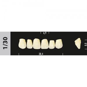 Стоматорг - Зубы Major C4  1/30 фронтальный верх, 6 шт (Super Lux)