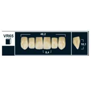 Стоматорг - Зубы Yeti A3,5 VR65 фронтальный верх (Tribos) 6 шт.