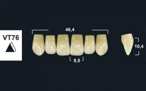 Стоматорг - Зубы Yeti BL3 VT76 фронтальный верх (Tribos) 6 шт.