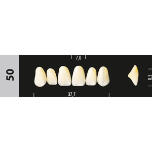 Стоматорг - Зубы Major D2  50 фронтальный верх, 6 шт (Super Lux)