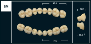 Стоматорг - Зубы Yeti D3 SM жевательный верх (Tribos) 8 шт.