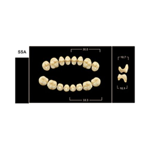 Стоматорг - Зубы Yeti C4 SSA жевательный низ (Tribos) 8 шт.