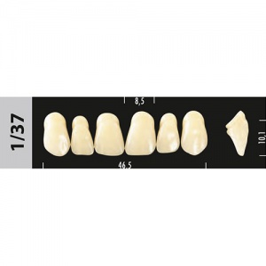 Стоматорг - Зубы Major A2  1/37 фронтальный верх, 6 шт (Super Lux).