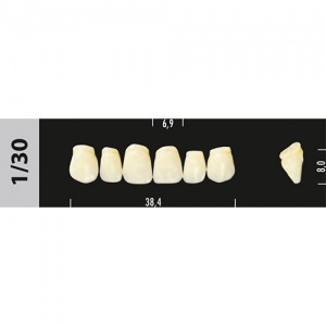 Стоматорг - Зубы Major D4 1/30, 28 шт (Super Lux)