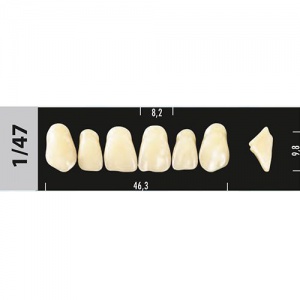 Стоматорг - Зубы Major D2  1/47 фронтальный верх, 6 шт (Super Lux)