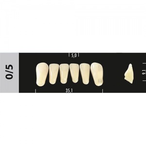 Стоматорг - Зубы Major D2 0/5 фронтальный низ, 6 шт (Super Lux)