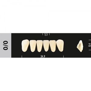 Стоматорг - Зубы Major A4 0/0 фронтальный низ, 6 шт (Super Lux).