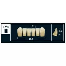 Стоматорг - Зубы Yeti A4 LV8 фронтальный низ (Tribos) 6 шт.