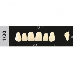 Стоматорг - Зубы Major D2  1/20 фронтальный верх, 6 шт (Super Lux)