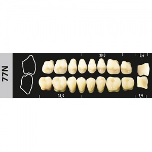 Стоматорг - Зубы Major A2 77N жевательный низ, 8 шт (Super Lux).