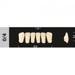 Стоматорг - Зубы Major B4 0/4 фронтальный низ, 6 шт (Super Lux).