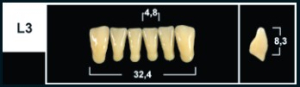 Стоматорг - Зубы Yeti C3 L3 фронтальный низ (Tribos) 6 шт.