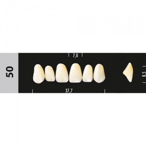 Стоматорг - Зубы Major B4  50 фронтальный верх, 6 шт (Super Lux).