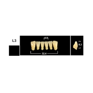 Стоматорг - Зубы Yeti D4 L3 фронтальный низ (Tribos) 6 шт. 