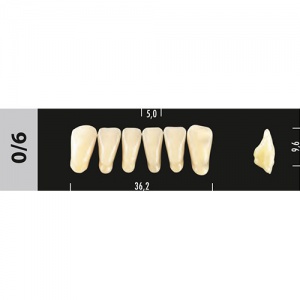 Стоматорг - Зубы Major C3 0/6 фронтальный низ, 6 шт (Super Lux)