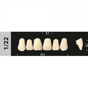 Стоматорг - Зубы Major A2  1/22 фронтальный верх, 6 шт (Super Lux).
