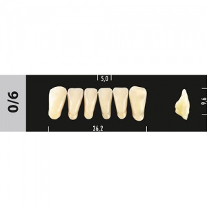 Стоматорг - Зубы Major A2 0/6 фронтальный низ, 6 шт (Super Lux).