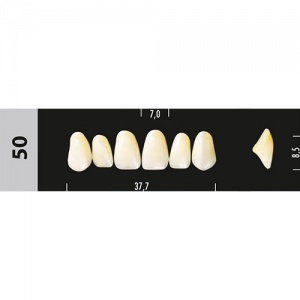 Стоматорг - Зубы Major A4  50 фронтальный верх, 6 шт (Super Lux).
