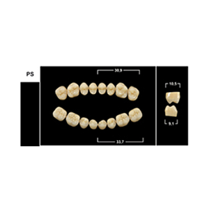 Стоматорг - Зубы Yeti A2 PS жевательный верх (Tribos) 8 шт.