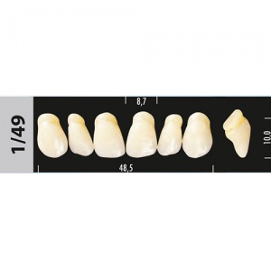Стоматорг - Зубы Major A1 1/49, 28 шт (Super Lux).