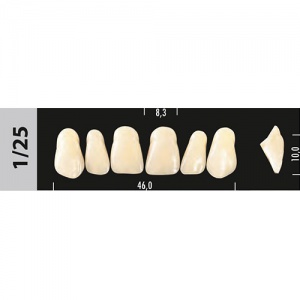 Стоматорг - Зубы Major A2  1/25 фронтальный верх, 6 шт (Super Lux).