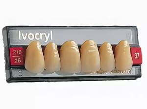 Стоматорг - Зубы Ivocryl Набор из 6 зубов Chromascop фронт.верх. 24 310.              