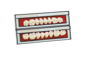 Стоматорг - Зубы SR Orthotyp PE Набор из 8 зубов Chromascop жеват.низ. N4 2В.