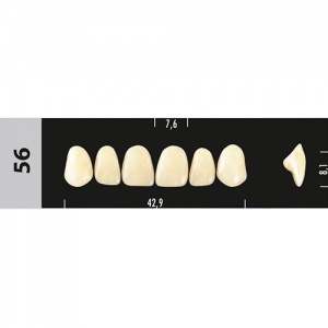 Стоматорг - Зубы Major C2 56, 28 шт (Super Lux)