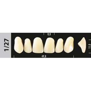 Стоматорг - Зубы Major C1 1/27 фронтальный верх, 6 шт (Super Lux)
