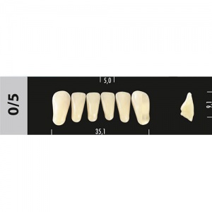 Стоматорг - Зубы Major C2 0/5 фронтальный низ, 6 шт (Super Lux)