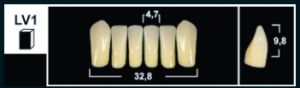 Стоматорг - Зубы Yeti B2 LV1 фронтальный низ (Tribos) 6 шт.