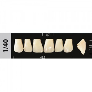 Стоматорг - Зубы Major D2 1/40, 28 шт (Super Lux)