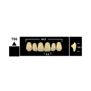 Стоматорг - Зубы Yeti A2 T66 фронтальный верх (Tribos) 6 шт.