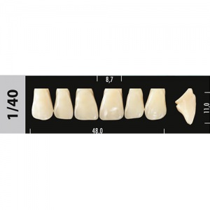 Стоматорг - Зубы Major A3  1/40  фронтальный верх, 6 шт (Super Lux).