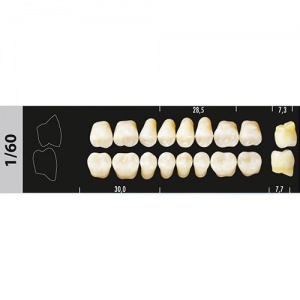 Стоматорг - Зубы Major C3 1/60 жевательный низ, 8 шт (Super Lux)