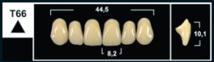 Стоматорг - Зубы Yeti BL3 T66 фронтальный верх (Tribos) 6 шт.