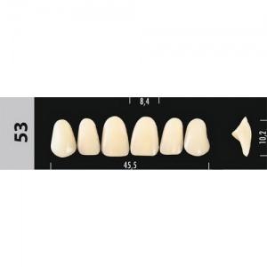 Стоматорг - Зубы Major D4  53 фронтальный верх, 6 шт (Super Lux)
