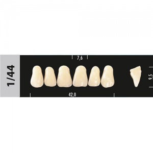 Стоматорг - Зубы Major D3  1/44 фронтальный верх, 6 шт (Super Lux)