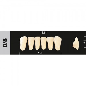 Стоматорг - Зубы Major A3 0/8 фронтальный низ, 6 шт (Super Lux).