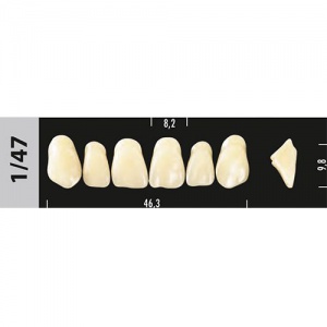 Стоматорг - Зубы Major C3  1/47 фронтальный верх, 6 шт (Super Lux)