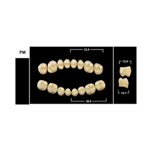 Стоматорг - Зубы Yeti C1 PM жевательный низ (Tribos) 8 шт.