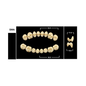 Стоматорг - Зубы Yeti B4 SMA жевательный низ (Tribos) 8 шт. 