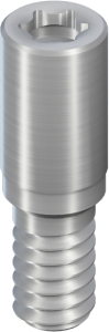 Стоматорг - Направляющий винт SCS для 048.240/048.241, L 8 мм, Ti, не может укорачиваться