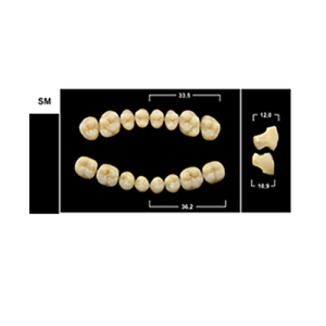Стоматорг - Зубы Yeti A2 SM жевательный низ (Tribos) 8 шт.