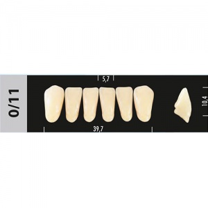 Стоматорг - Зубы Major A3,5 0/11 фронтальный низ, 6 шт (Super Lux).