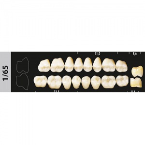 Стоматорг - Зубы Major D3 1/65 жевательный верх, 8 шт (Super Lux)